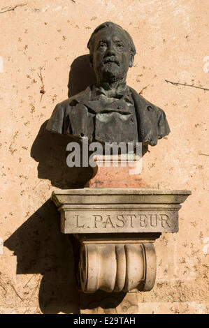 Francia, Giura, Arbois, Louis Pasteur il busto Foto Stock