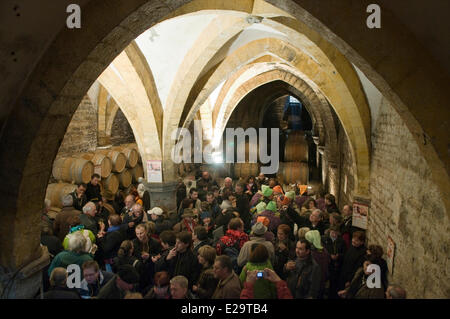 Francia, Giura, Arbois, rivoluzionario del vino di colore giallo, si affollano nella cantina della regina Jeanne Foto Stock