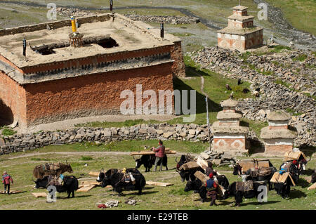 Il Nepal, Karnali zona, regione Dolpo, Shey, villaggio e gompa Foto Stock