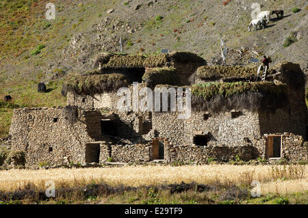 Il Nepal, Karnali zona, regione Dolpo, Tarap valley, case di pietra Foto Stock