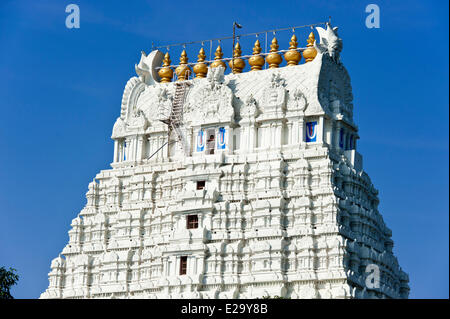 India, Tamil Nadu, Kanchipuram, Varadaraja Perumal temple (o tempio Devarajaswami) dedicato a Vishnu Foto Stock