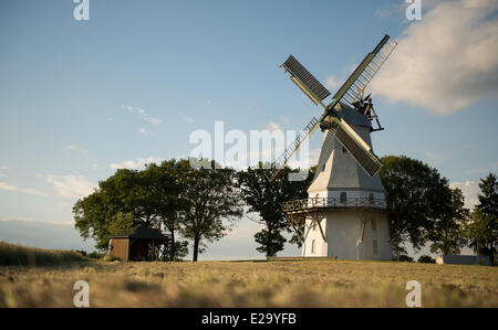 Un mulino a vento storico vicino mediante un cornfield, 5 giugno 2014 in Sprengel, Bassa Sassonia, Germania. Foto Stock