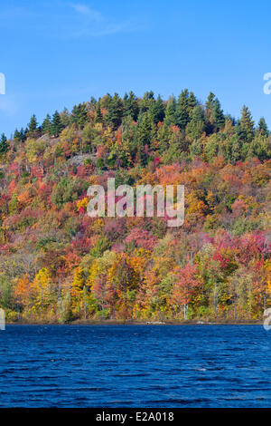 Canada, Provincia di Quebec, Eastern Townships o Estrie, il Parc national du Mont-Orford, la caduta delle foglie e il lago Foto Stock