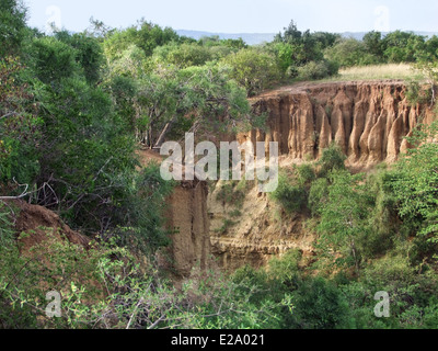 Paesaggio intorno al lago di Albert in Uganda (Africa) in un ambiente soleggiato Foto Stock