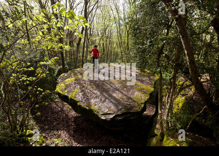 Francia, Saône et Loire, Etrigny, la roccia della tabella Ronde nella foresta a piedi da Rocher d'Anjoux Foto Stock