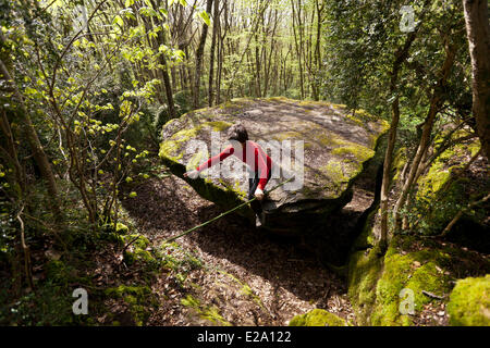 Francia, Saône et Loire, Etrigny, la roccia della tabella Ronde nella foresta a piedi da Rocher d'Anjoux Foto Stock