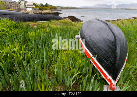 Repubblica di Irlanda, Connemara, Connacht provincia, contea di Galway, Ballyconneely, barche cimitero sulla baia di Ballyconneely, in Foto Stock