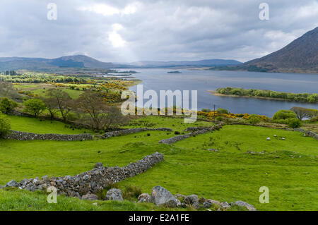 Repubblica di Irlanda, Connemara, Connacht provincia, contea di Galway, Lough Corrib e Inchagoill isola dalla strada secondaria Foto Stock