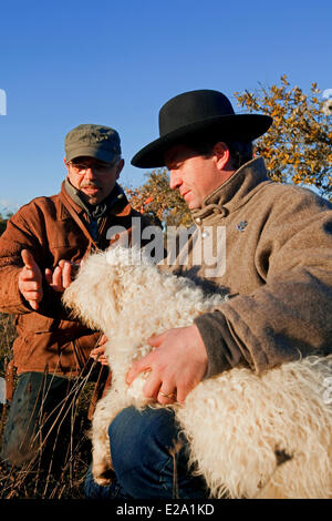 Francia, Vaucluse, Luberon, Bonnieux, raccolta di tartufi con Jacky e chief Edouard Loubet Foto Stock