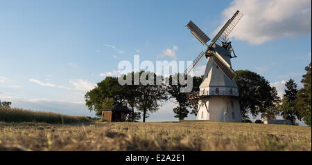 Un mulino a vento storico vicino mediante un cornfield, 5 giugno 2014 in Sprengel, Bassa Sassonia, Germania. Foto Stock