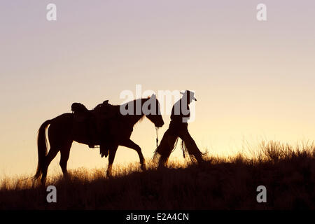 Stati Uniti, Wyoming, Shell, il nascondiglio Guest Ranch, il cow-boy Foto Stock