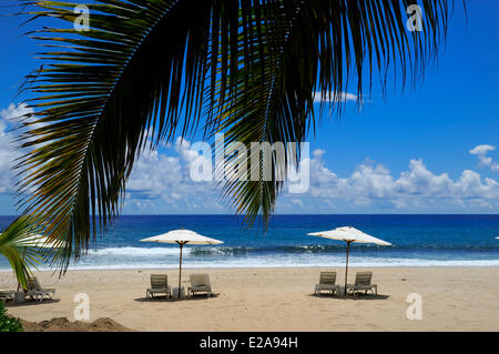 Francia, Ile de la Reunion (dipartimento francese d' oltremare), costa Ovest, Saint Gilles les Bains, Boucan non è in grado di spiaggia, Le Saint Alexis Foto Stock