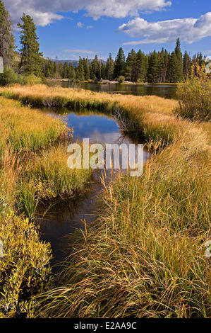 Stati Uniti, Colorado, Sprague lago nel Parco Nazionale delle Montagne Rocciose Foto Stock