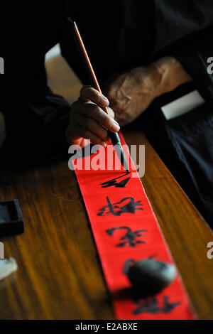 Il Vietnam, Ba Ria Vung Tau Provincia, Dao lungo il Figlio, Nha Lon lunga figlio House, maestri nella pittura calligrafia le iscrizioni per il nuovo Foto Stock