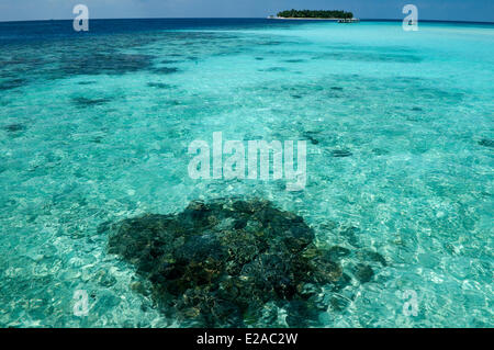 Maldive, North Male Atoll, Vabbinfaru Island, Banyan Tree Vabbinfaru hotel resort Foto Stock