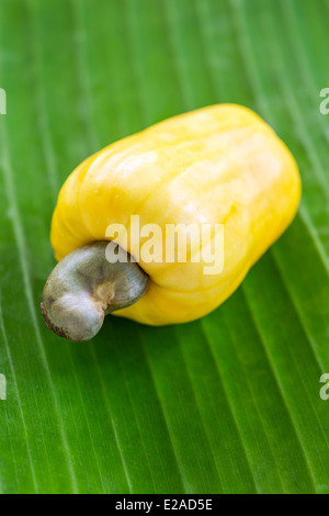 Anacardi sulla frutta la foglia verde sullo sfondo Foto Stock