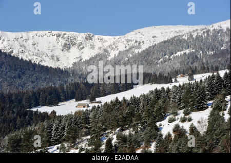 Francia, Haut Rhin, Hautes Vosges, Col du Calvaire Foto Stock