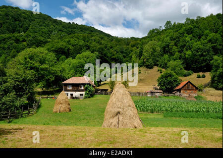 La Romania, Carpazi, Transilvania Regione, Munti Apuseni, terra di moti, Ariete Valley Foto Stock