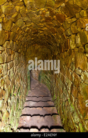 Francia, Morbihan, Golfe du Morbihan, Locmariaquer, tumulo Mane er Hroech Foto Stock