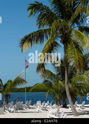 Stati Uniti, Florida, Miami, caratteristica : Miam! Foto Stock