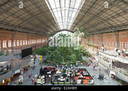 Spagna, Madrid, la stazione di Atocha del tardo XIX secolo quando nel 1992 l'architetto Raphael Moneo installa un 4000 mq Giardino con Foto Stock