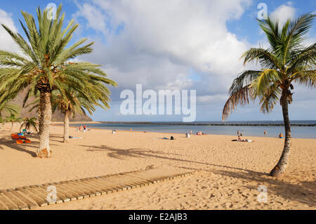 Spagna Isole Canarie, Tenerife, San Andres, la Teresitas, spiaggia, spiaggia e gli alberi di cocco Foto Stock