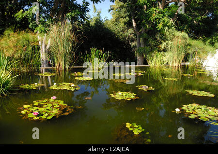 Spagna Isole Canarie, Tenerife, Puerto de la Cruz, Jardin de aclimatacion de la Orotava (La Orotava Giardino Botanico), stagno Foto Stock