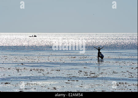 Francia, Charente Maritime, turisti la raccolta di molluschi nella baia di Ronce les Bains Foto Stock