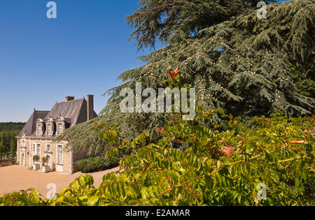 Francia, Indre et Loire, Chancay, Valmer castello, giardino Veranda Foto Stock