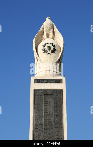 Francia, Ardenne Wadelincourt, American monumento in memoria dei soldati della prima divisione statunitense caduto a Sedan il 6 novembre Foto Stock