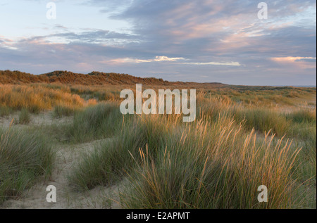 In tarda serata la luce sulla spiaggia di Winterton, Norfolk, Inghilterra Foto Stock