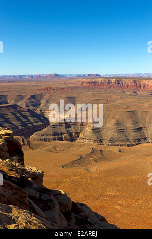 Stati Uniti, Utah, Bluff area, Muley Point, vicino Mexican Hat, punto di vista sul bordo di Cedar Mesa affacciato sul profondo canyon Foto Stock