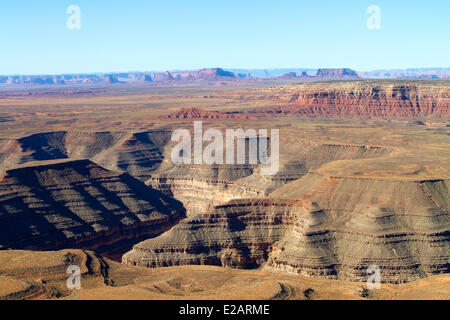 Stati Uniti, Utah, Bluff regione, Muley Point, vicino Mexican Hat nel sud dello Utah, viewpoint in corrispondenza del bordo di Cedar Mesa affacciato Foto Stock