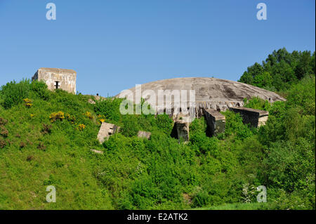 Francia, Pas-de-Calais, Helfaut, Museo del Duomo Foto Stock