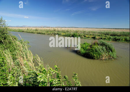 Isole Baleari Spagna, Mallorca, S'Albufera, parco naturale nella zona umida della palude Foto Stock