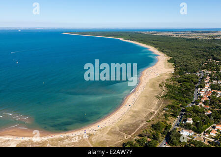 Francia, Charente Maritime, Ile d'Oleron, Saint Georges d'Oleron, Anse de la Maleconche, Gautrelle, Plaisance e Saumonards Foto Stock