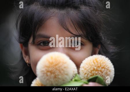 Ragazza con fiori kadam Kadam il fiore, Anthocephalus cadamba, bloom durante la stagione delle piogge in Bangladesh. Foto Stock