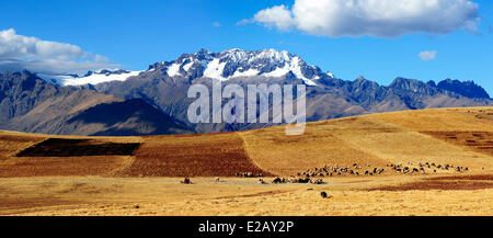 Il Perù, Provincia di Cuzco, Inca Sacred Valley, Ande paesaggio vicino a Moray Foto Stock