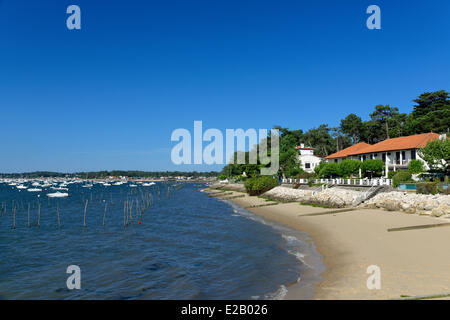 Francia, Gironde, Baia di Arcachon, Grand Piquey, ostriche lungo il litorale con case in background lungo la spiaggia Foto Stock