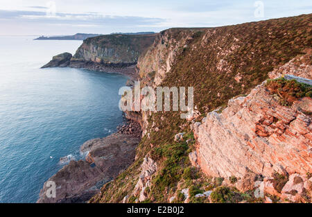 Francia, Cotes d'Armor, Cote d'Emeraude (Costa Smeralda), Cap Frehel, Plevenon Foto Stock