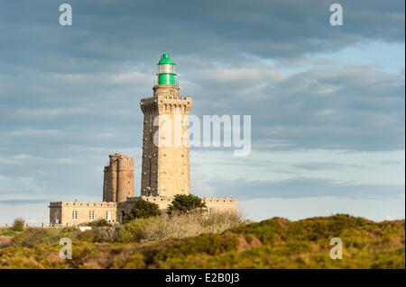 Francia, Cotes d'Armor, Cote d'Emeraude (Costa Smeralda), Cap Frehel, Plevenon Foto Stock