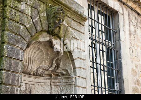 Francia, Aude, Carcassonne, Bastide Saint Louis (Città bassa) Foto Stock