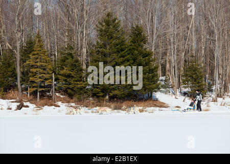 Canada, Provincia di Quebec, Eastern Townships (Estrie), Bonsecours, dogsledding con Nordik avventure Foto Stock