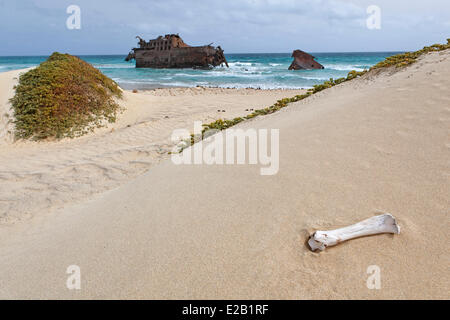 Capo Verde, Boavista, Boa Esperança, Boavista, Cabo Santa Maria Beach, relitto della Santa Maria la nave mercantile (1968) Foto Stock