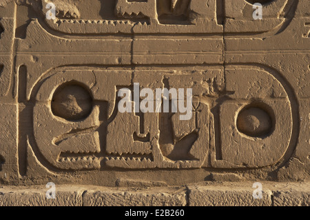 Arte Egizia Complesso del tempio di Karnak. Scrittura geroglifica. Protocollo reale di Ramesse II. Foto Stock