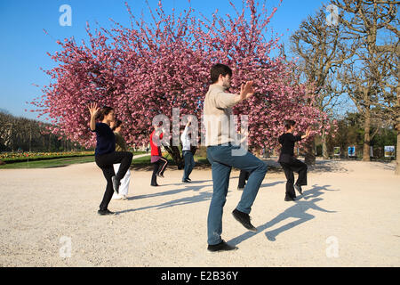 Francia, Parigi, Tai Shi nella parte anteriore di un albero in fiore nel Jardin des Plantes (giardino botanico) di primavera Foto Stock