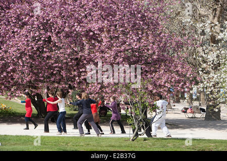 Francia, Parigi, Tai Shi nella parte anteriore di un albero in fiore nel Jardin des Plantes (giardino botanico) di primavera Foto Stock