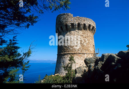 Francia, Corse du Sud, Coti Chiavari, Torre Genovese di Capo di Muro Foto Stock