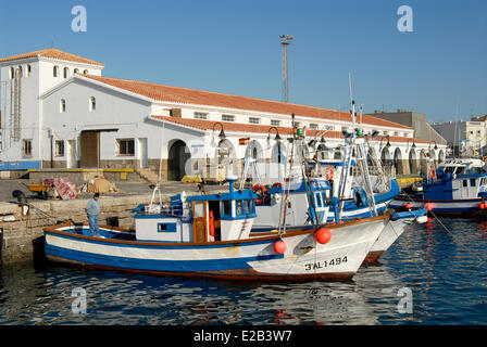 Spagna, Andalusia Costa de la Luz, Tarifa, pesca barche nel porto di fronte al mercato del pesce Foto Stock