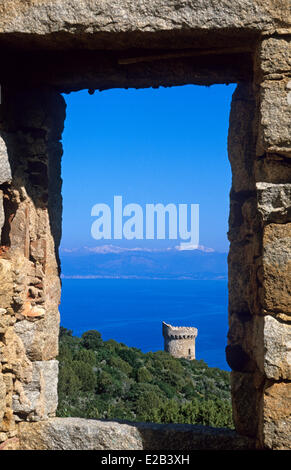 Francia, Corse du Sud, Coti Chiavari, Torre Genovese di Capo di Muro Foto Stock